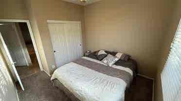 Room For Rent In Anthem