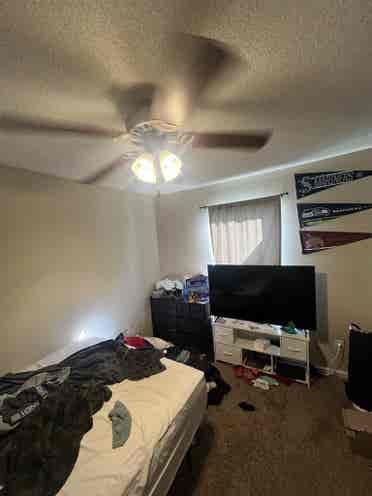 Roommate search!!