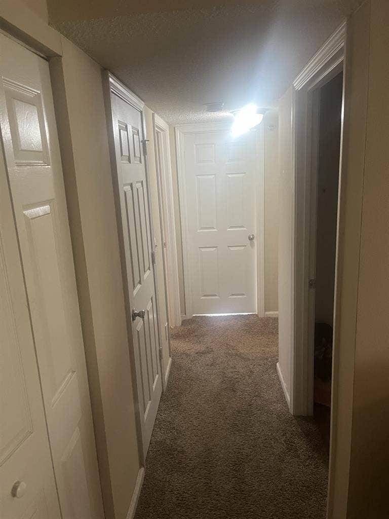 Roommate search!!