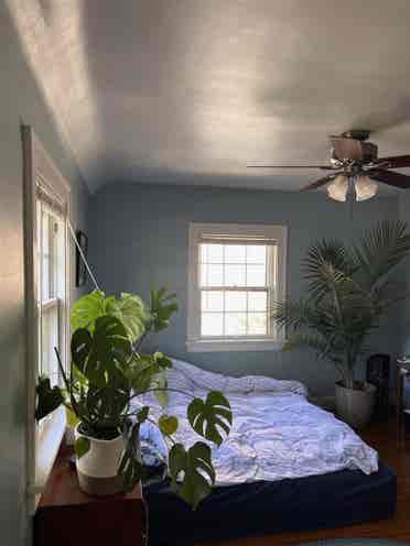 Seeking a Great Housemate