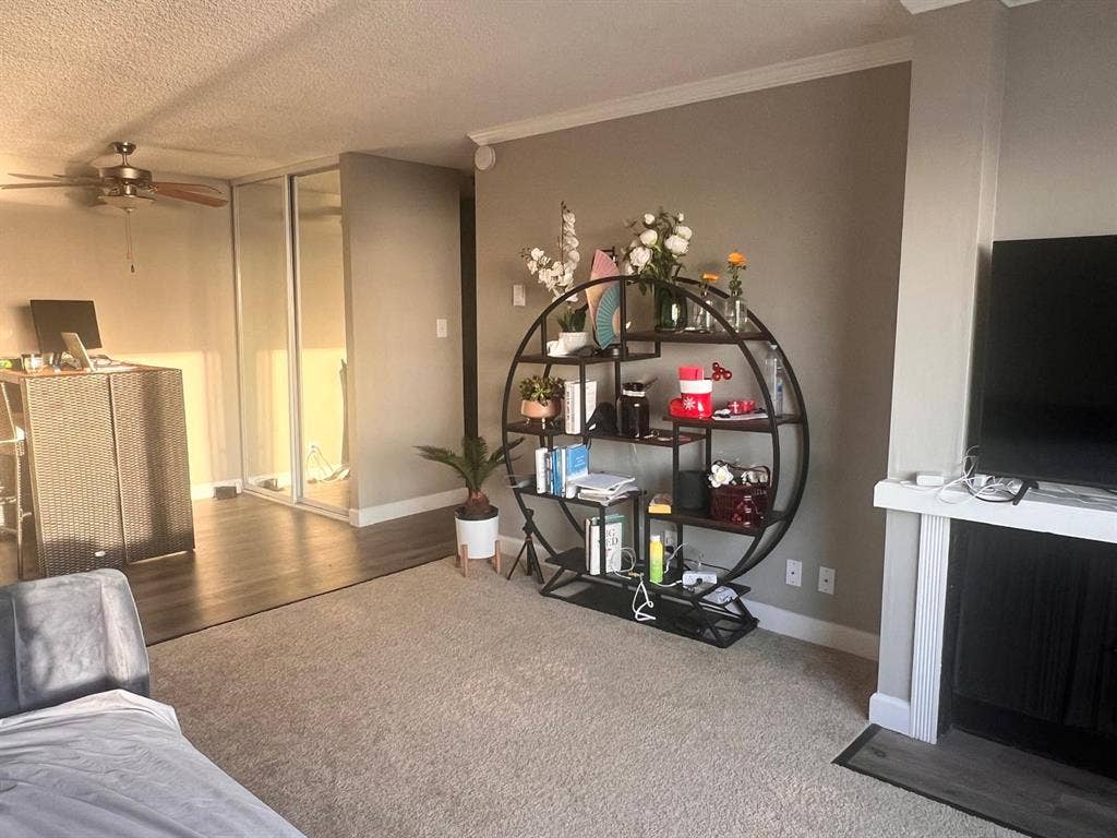 Beachfront 1BR Apt – Furnished