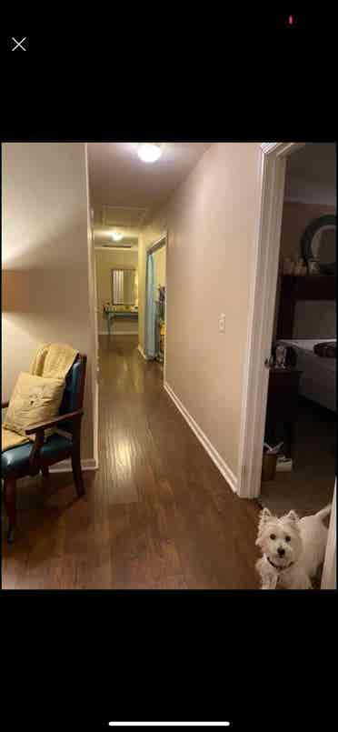 Room $ minutes from downtown