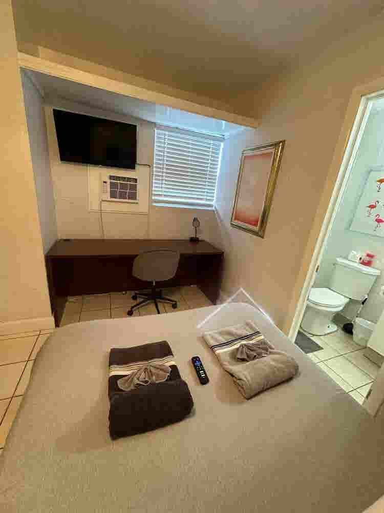 Bright and Spacious Studio Stay
