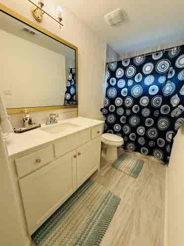 Fully 
Furnished New house for Rent