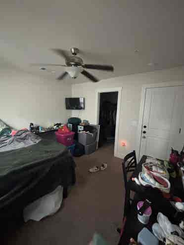 Room for rent
