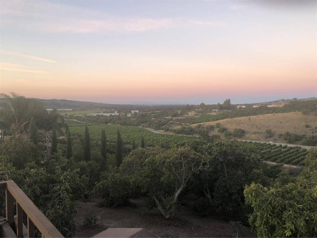 Forever Views in Natural Sanctuary