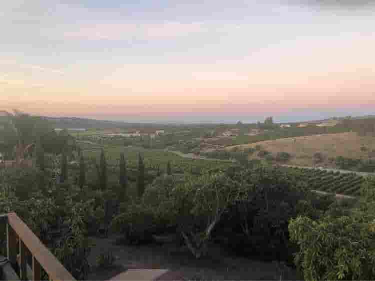 Forever Views in Natural Sanctuary