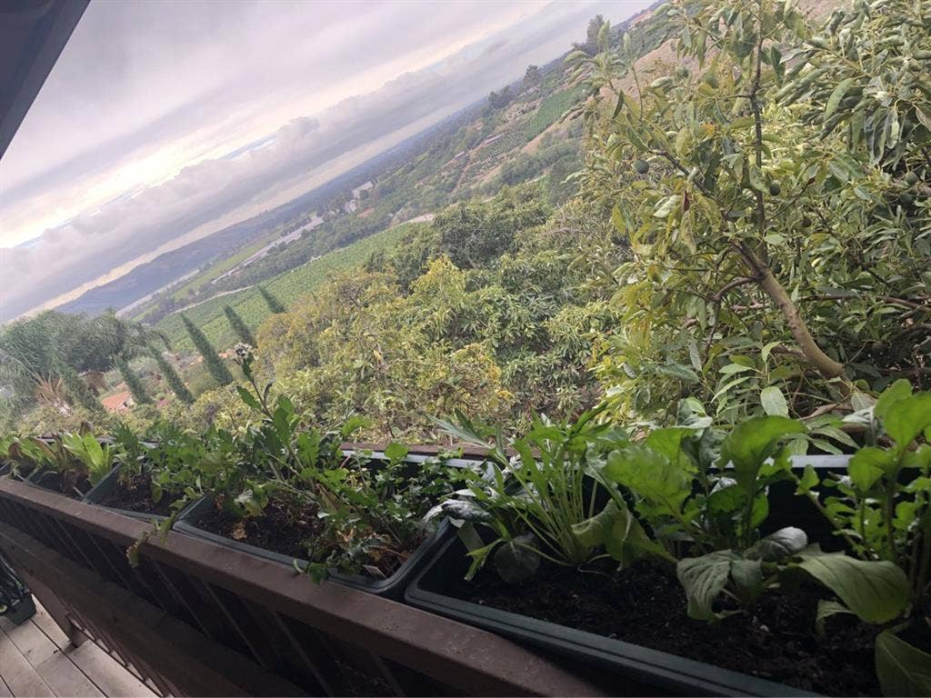 Forever Views in Natural Sanctuary