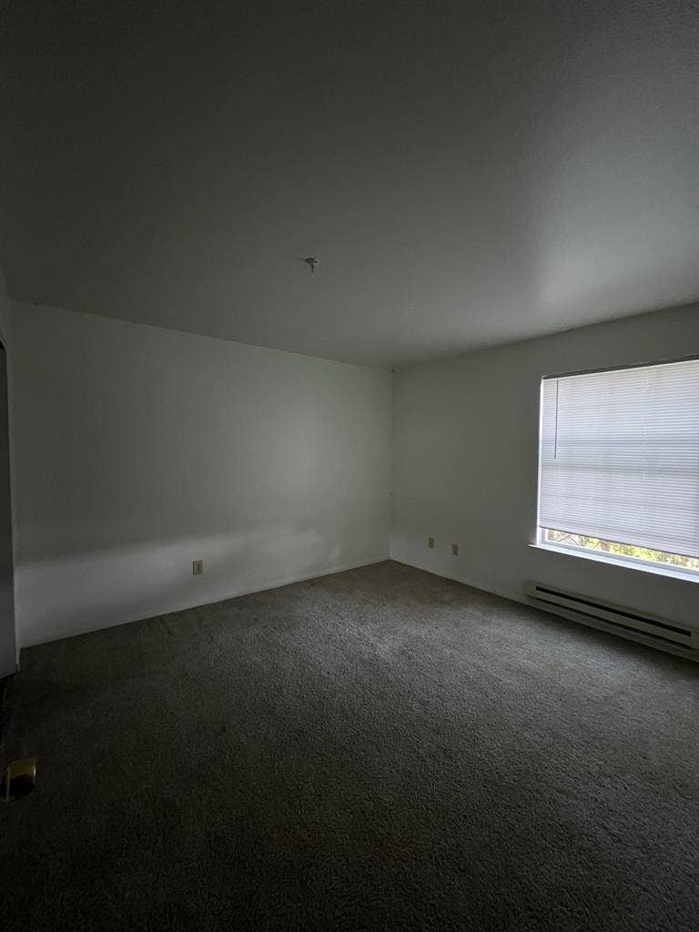 Looking for a Roommate!