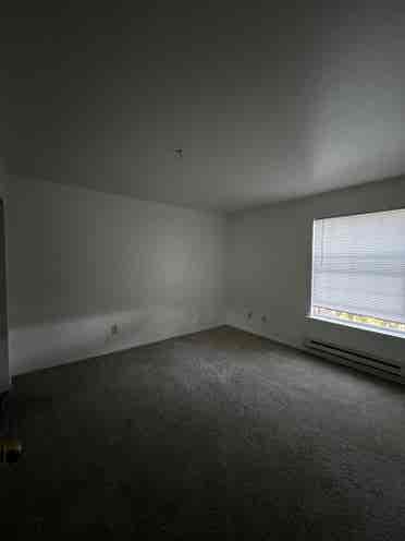 Looking for a Roommate!