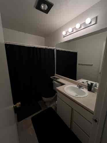 Looking for a Roommate!
