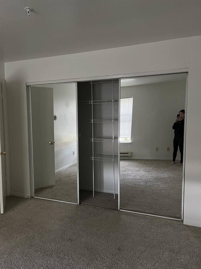 Looking for a Roommate!
