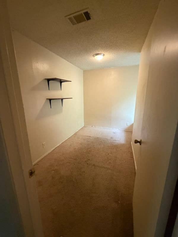 Room Across St of Barton Springs