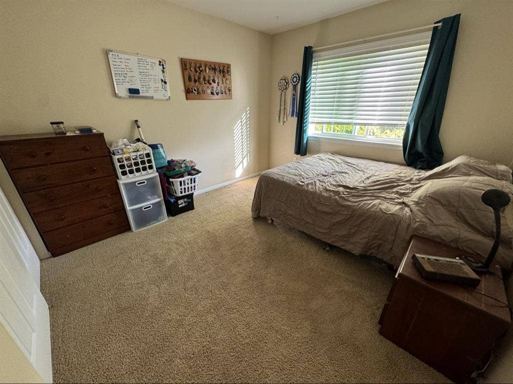 Private room in house share
