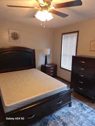 Looking for female Housemates