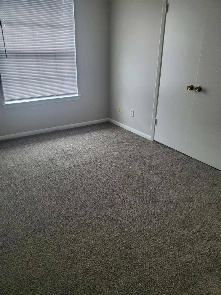 Looking for long term roommate