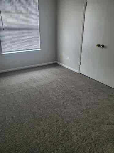 Looking for long term roommate