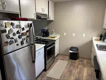 Looking for 
Professional Roommate