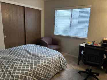 Looking for 
Professional Roommate