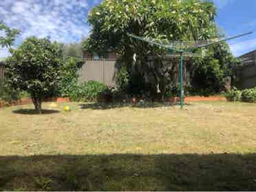 $  p/w 
Room for rent Kensington