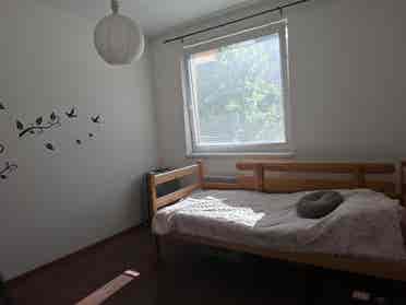 💫 Bright private room for rent 💫