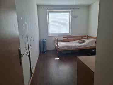 💫 Bright private room for rent 💫