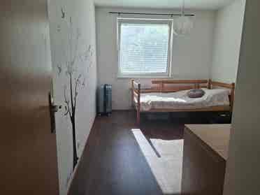 💫 Bright private room for rent 💫