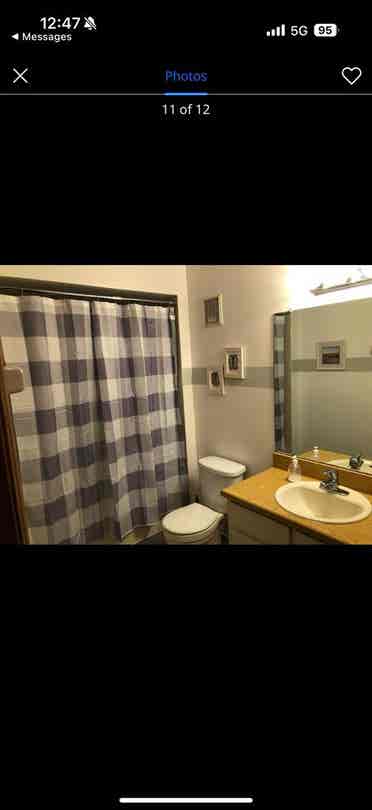 Looking for a roommate