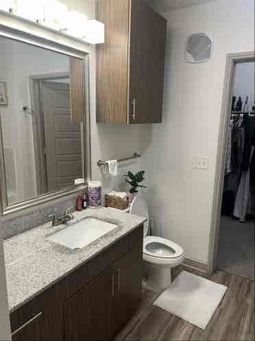 Luxury Apartment