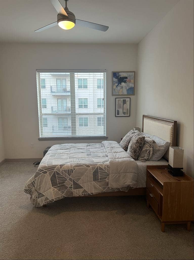 Luxury Apartment