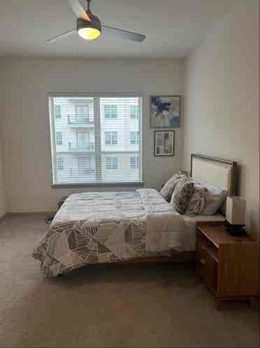 Luxury Apartment