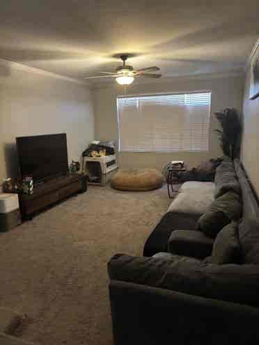 Private room in shared home