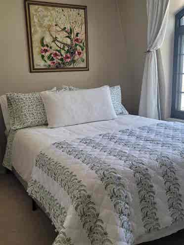 Room/Pvt Bath Available August 1