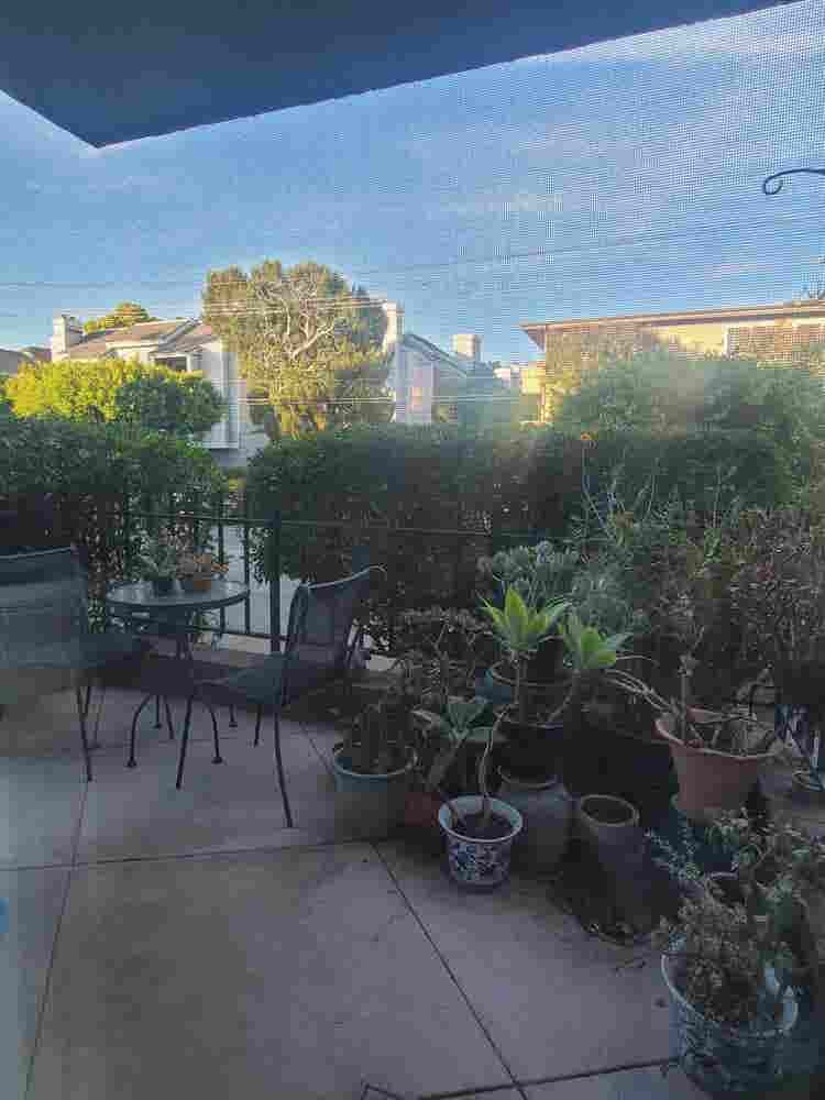 Room/Pvt Bath Available August 1