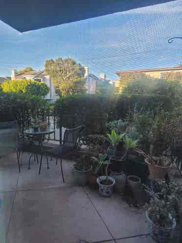 Room/Pvt Bath Available August 1