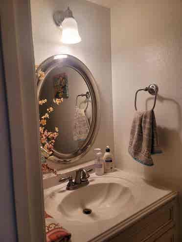 Room/Pvt Bath Available August 1
