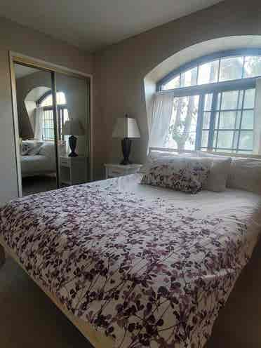 Room/Pvt Bath Available August 1