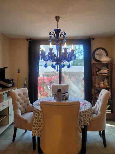 Room/Pvt Bath Available August 1