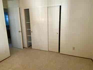 Looking for female housemate