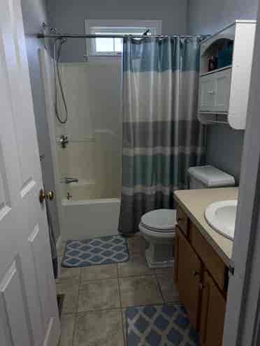 Rockland greater Boston roommate