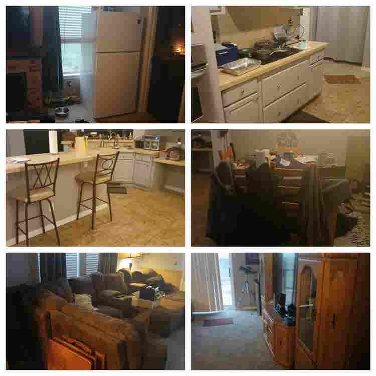 Looking for a roommate