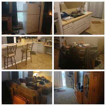 Looking for a roommate
