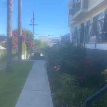 1 bed in unit laundry share bath
