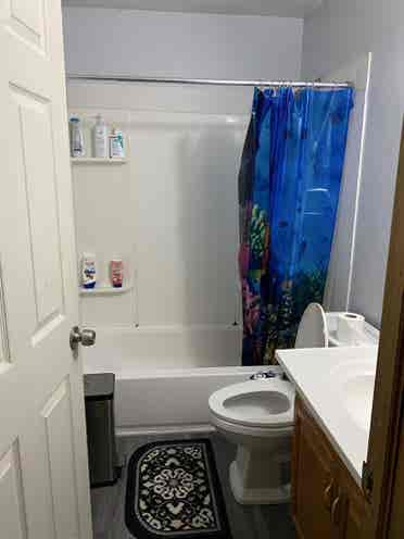 New Listing