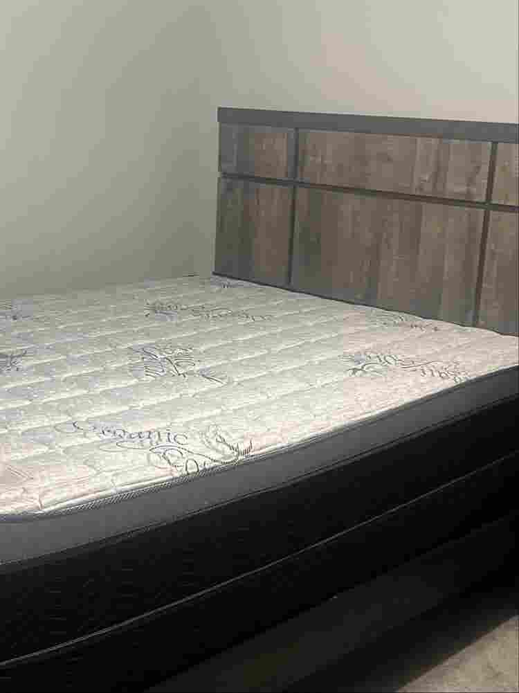Beautiful furnished room for rent