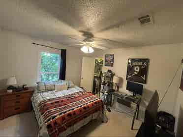 Friendly roommates in great area