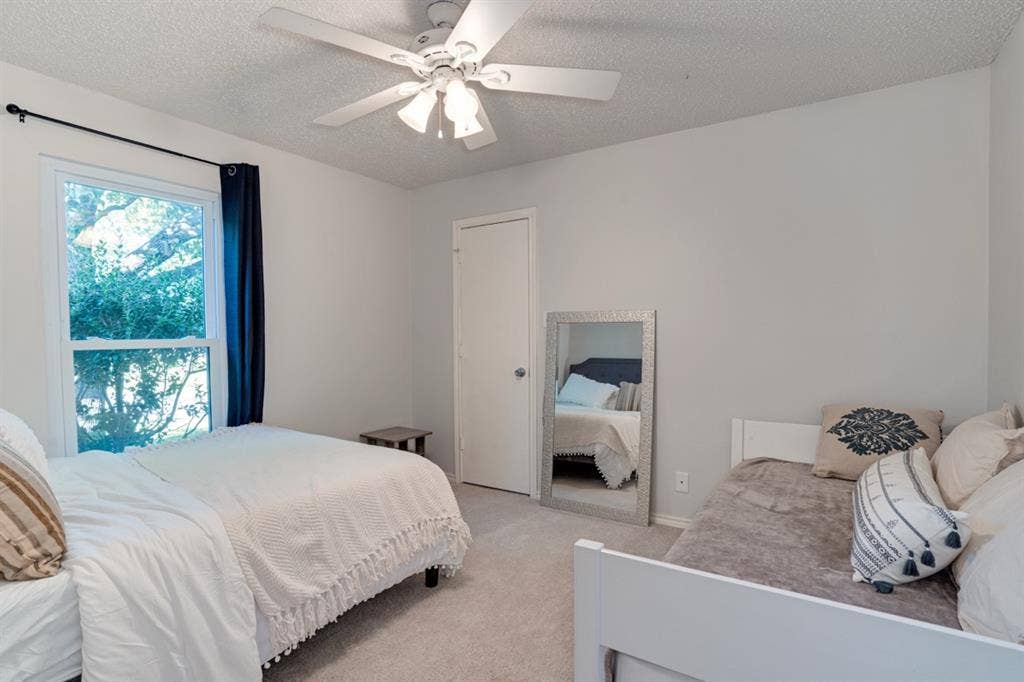 Friendly roommates in great area