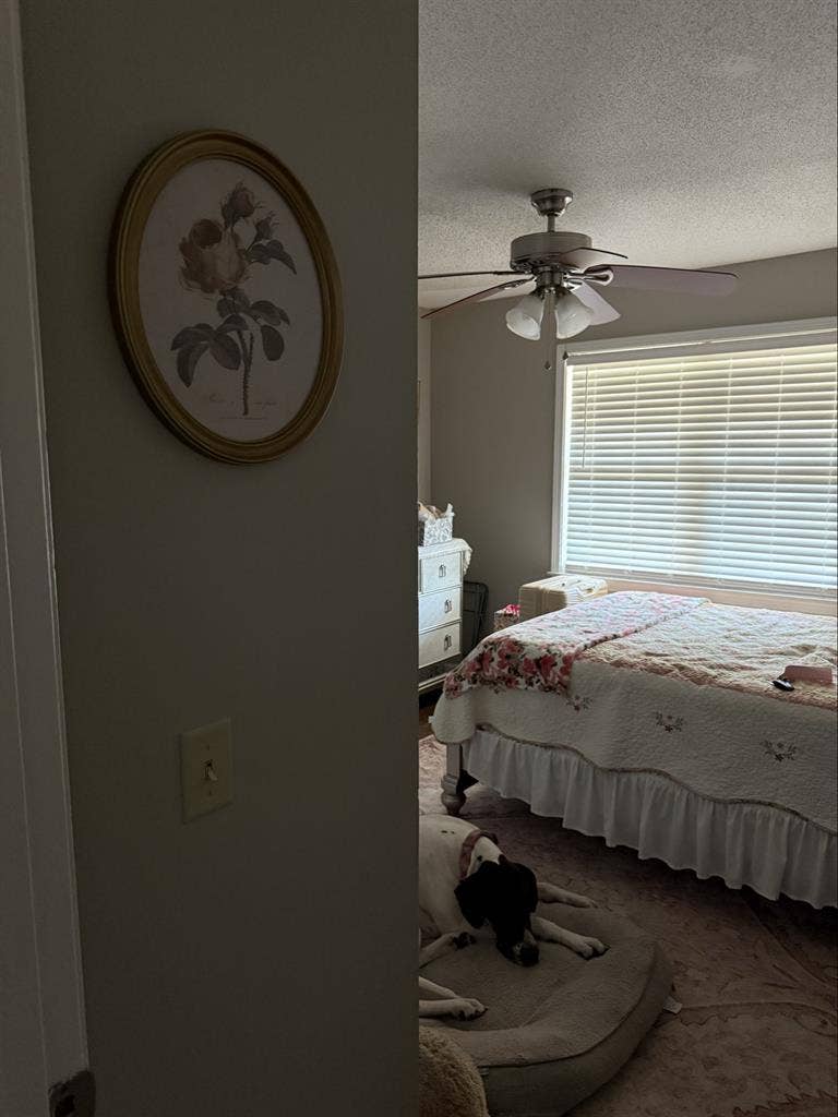 Cute and Quiet Duplex