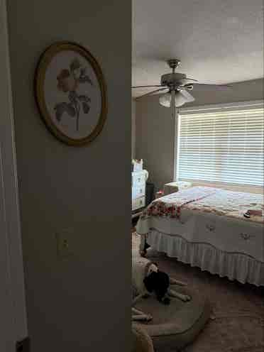 Cute and Quiet Duplex