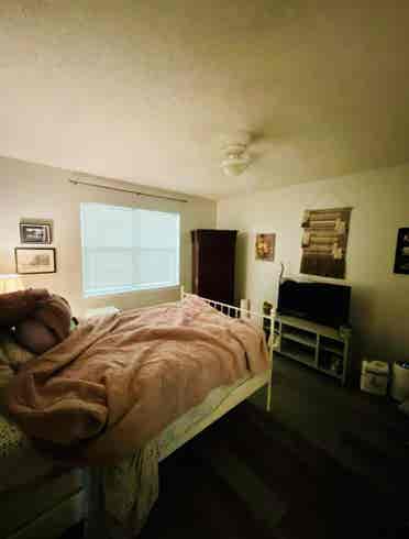 Entire  Baths Apartment